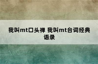 我叫mt口头禅 我叫mt台词经典语录